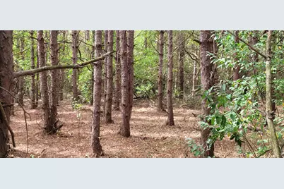 881 S Brye Road, Ludington, MI 49431 - Photo 22