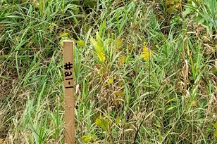 881 S Brye Rd, Ludington, MI 49431 - Photo 4