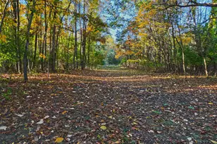 33262 56th Ave, Paw Paw, MI 49079 - Photo 82