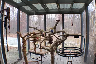 6635 E Chicago Rd, Jonesville, MI 49250 - Photo 54