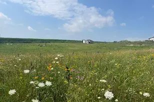 8885 Burmeister Rd, Saline, MI 48176 - Photo 56