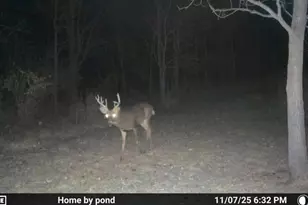 8885 Burmeister Rd, Saline, MI 48176 - Photo 76