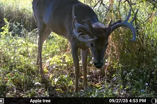 8885 Burmeister Rd, Saline, MI 48176 - Photo 78