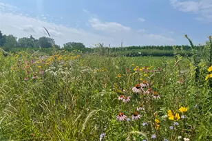 8885 Burmeister Rd, Saline, MI 48176 - Photo 54