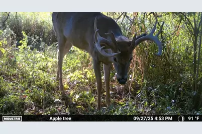 8885 Burmeister Road, Saline, MI 48176 - Photo 86