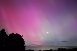 8885 Burmeister Rd, Saline, MI 48176 - Photo 66