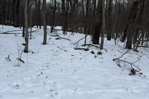 12090 Regina Dr, Canadian Lakes, MI 49346 - Photo 1