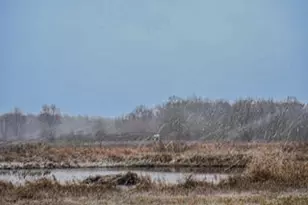 1991 N Concord Rd, Albion, MI 49224 - Photo 22