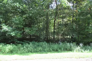 Tract 6 Brookside Ct, Cassopolis, MI 49031 - Photo 1