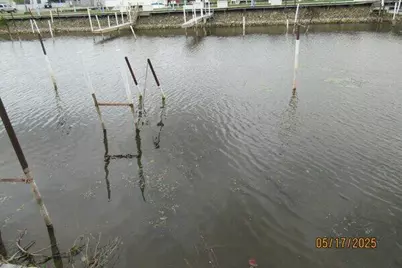 149 W Huron Road, Au Gres, MI 48703 - Photo 2