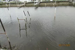 149 W Huron Rd, Au Gres, MI 48703 - Photo 2