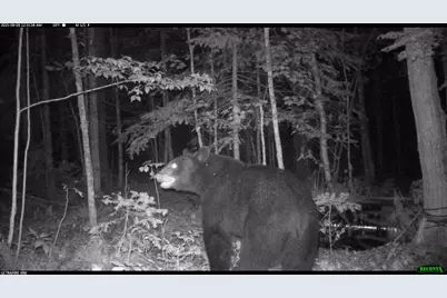 6392 Old U.S. 45, Watersmeet, MI 49969 - Photo 4