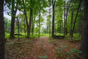 5680 E Shores Dr, Free Soil, MI 49411 - Photo 40