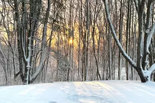 7606 N 46th St, Augusta, MI 49012 - Photo 10