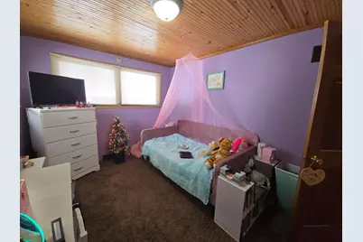229 Palmer Avenue, Colon, MI 49040 - Photo 38