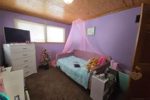 229 Palmer Ave, Colon, MI 49040 - Photo 38