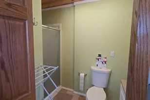 229 Palmer Ave, Colon, MI 49040 - Photo 40