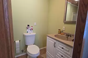 229 Palmer Ave, Colon, MI 49040 - Photo 42