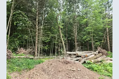 5369 E 68th Street, Chase, MI 49623 - Photo 4