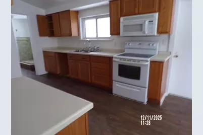 305 W Pine Street, Big Rapids, MI 49307 - Photo 6