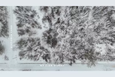 Vl Mt. Zion Street, Cassopolis, MI 49031 - Photo 2