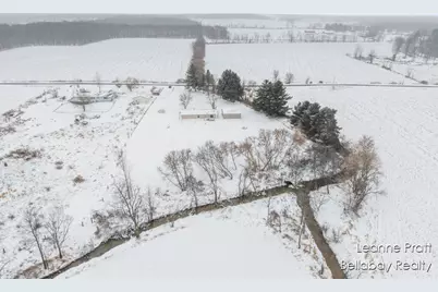 9820 W 5 Point Highway, Bellevue, MI 49021 - Photo 8
