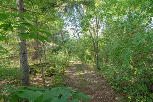 31664 Fish Hatchery Rd, Kalamazoo, MI 49009 - Photo 178