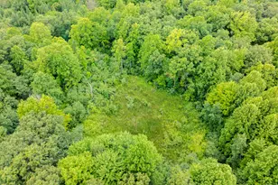 31664 Fish Hatchery Rd, Kalamazoo, MI 49009 - Photo 154