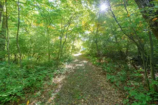 31664 Fish Hatchery Rd, Kalamazoo, MI 49009 - Photo 180