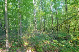 31664 Fish Hatchery Rd, Kalamazoo, MI 49009 - Photo 186