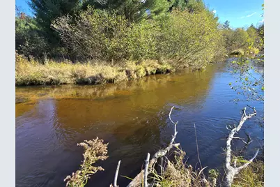 10652 N River Road #D, Irons, MI 49644 - Photo 10