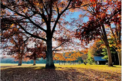 10652 N River Road #D, Irons, MI 49644 - Photo 2