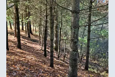 10652 N River Road #D, Irons, MI 49644 - Photo 4