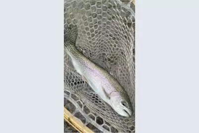 10652 N River Road #D, Irons, MI 49644 - Photo 28