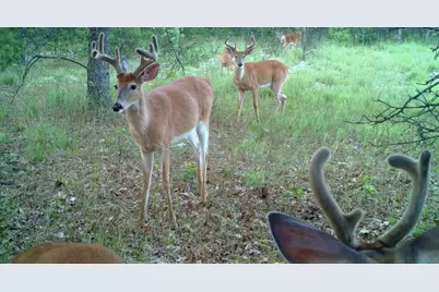 10652 N River Road #D, Irons, MI 49644 - Photo 24