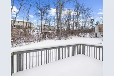 905 Wildt Street, Ann Arbor, MI 48103 - Photo 36