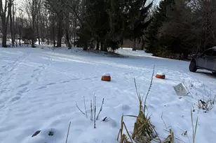 3766 Abbottsford Rd, Clyde, MI 48049 - Photo 30