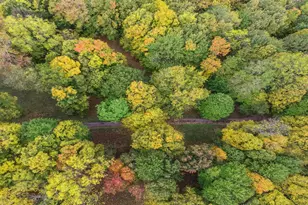 5563 Spring Creek Rd, Three Oaks, MI 49128 - Photo 28