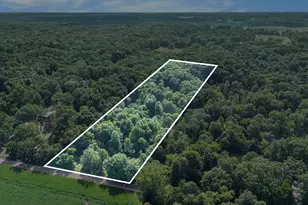 2525 Biggs Ave NE, Lowell, MI 49331 - Photo 2