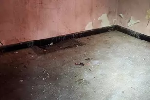 14321 Ardmore St, Detroit, MI 48227 - Photo 4