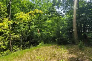 0 S Montgomery Blvd, Pentwater, MI 49449 - Photo 12