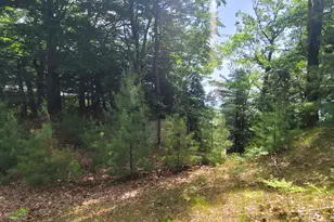 0 S Montgomery Blvd, Pentwater, MI 49449 - Photo 16