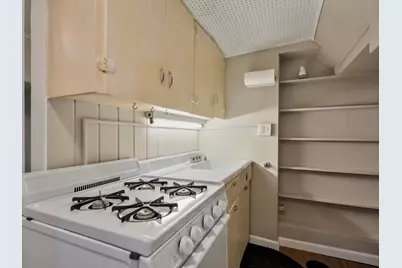 1136 Prospect Street, Ann Arbor, MI 48104 - Photo 26