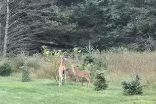 110 Bedford Ct, Cadillac, MI 49601 - Photo 6