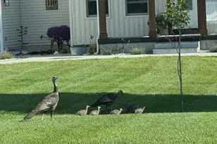 110 Bedford Ct, Cadillac, MI 49601 - Photo 4