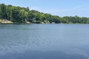 8771 Chain O Lakes Dr, Delton, MI 49046 - Photo 4