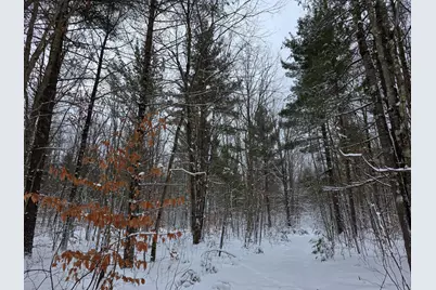 Coates Highway, Brethren, MI 49619 - Photo 6