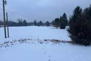 11890 Phal Rd, Grass Lake, MI 49240 - Photo 28