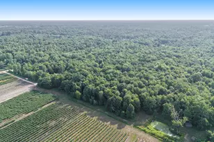 5936 108th Ave, Pullman, MI 49450 - Photo 2