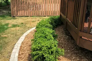 2330 Courtney Cir Ct, Ann Arbor, MI 48103 - Photo 80